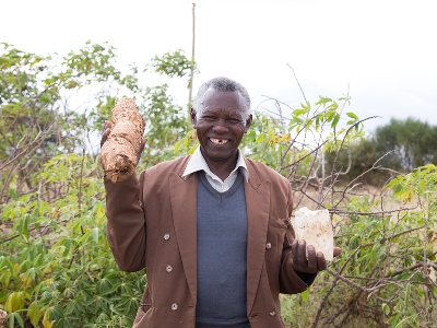 Cassava Farming in Yatta